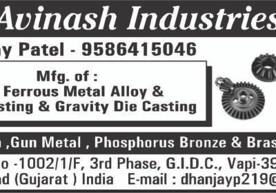 FOUNDRY-AVINASH-INDUSTRIES-VAPUI